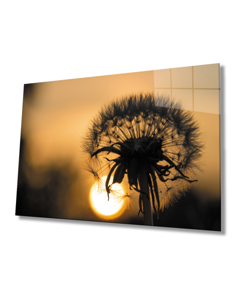 Gün Batımında Bitki  Cam Tablo  4mm Dayanıklı Temperli CamPlant Glass Table 4mm Durable Tempered Glass At Sunset