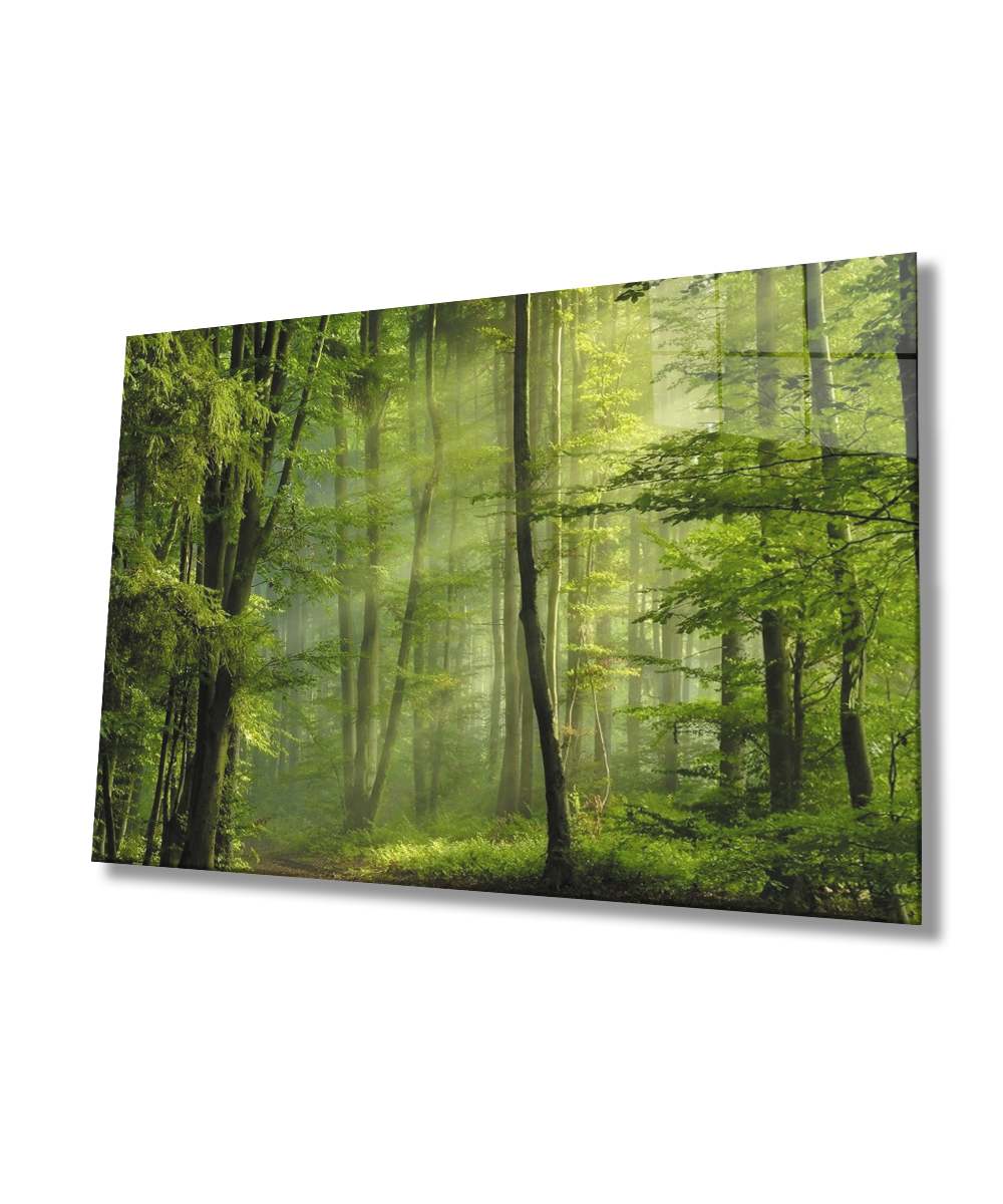 Ağaç Yeşil Orman Cam Tablo  4mm Dayanıklı Temperli Cam Tree Green Forest Glass Wall Art