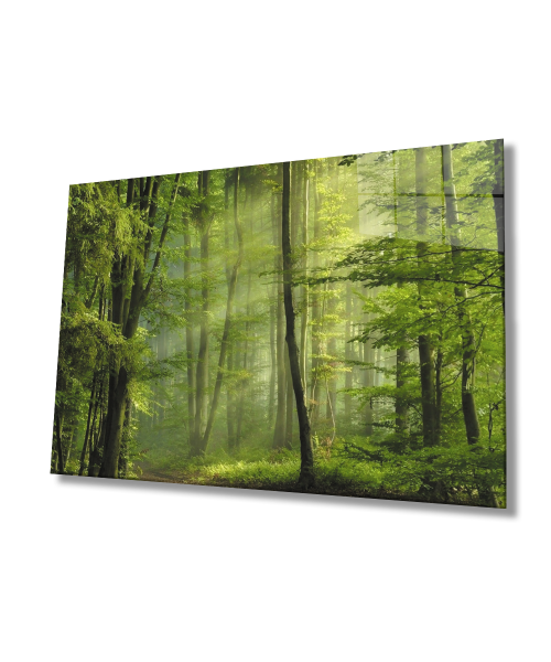 Ağaç Yeşil Orman Cam Tablo  4mm Dayanıklı Temperli Cam Tree Green Forest Glass Wall Art