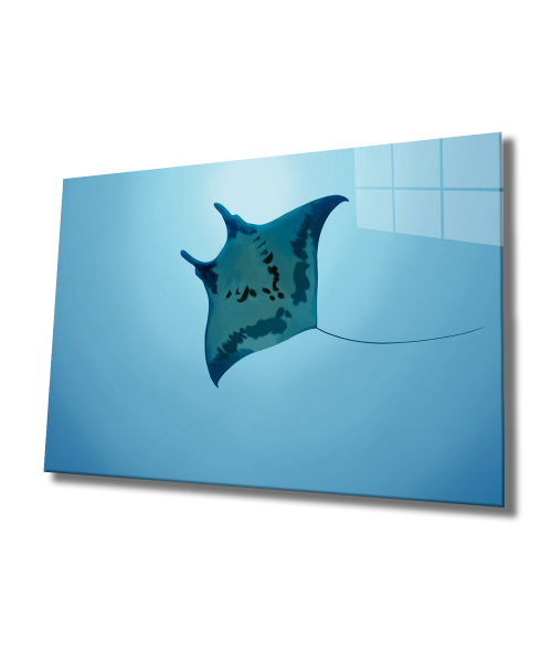 Sualtı Hayvanlar Cam Tablo  4mm Dayanıklı Temperli Cam, Marine Life Glass Wall Art