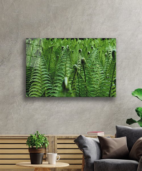 Yeşil Bitkiler Cam Tablo  4mm Dayanıklı Temperli Cam  Green Plants Glass Wall Art