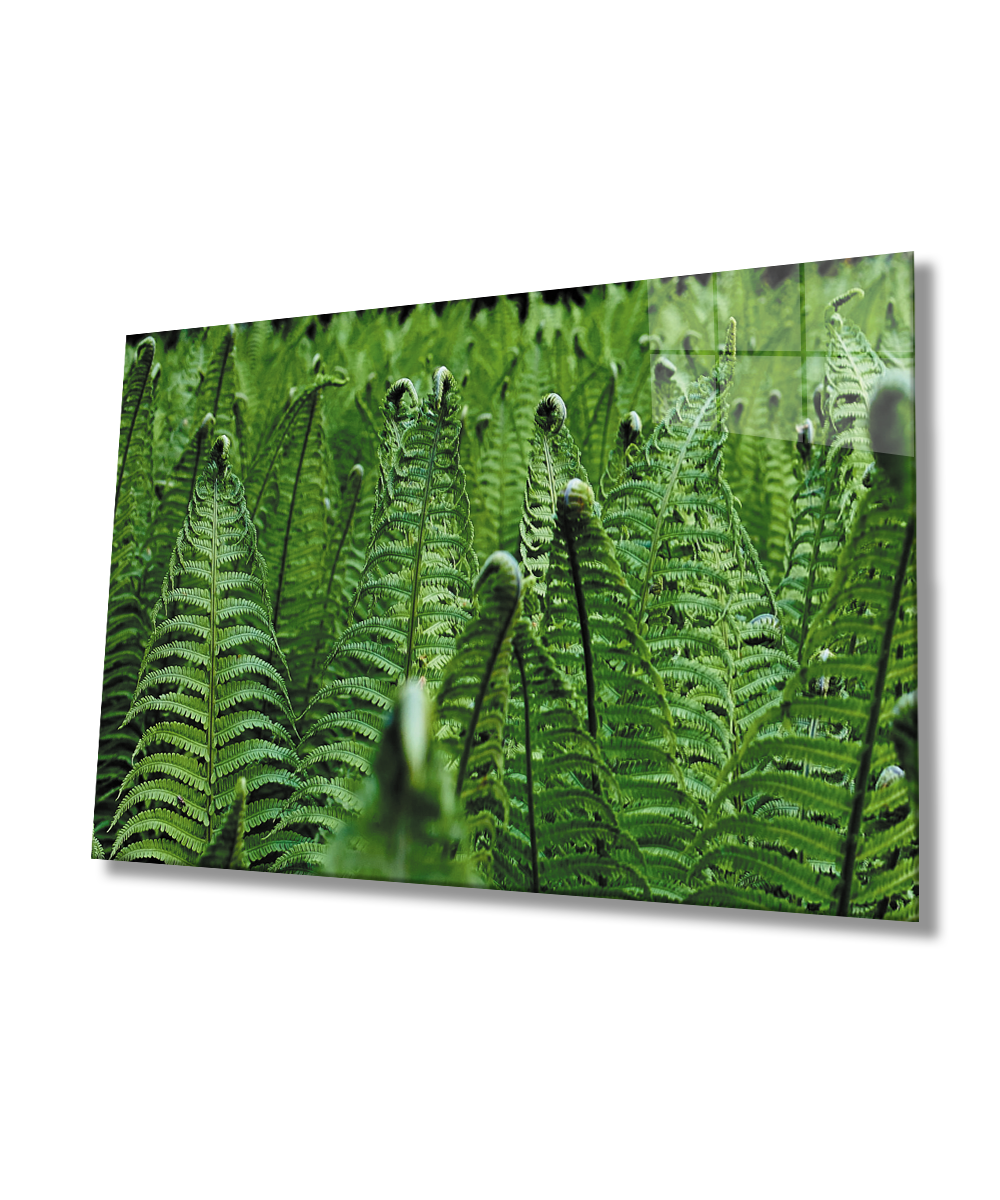 Yeşil Bitkiler Cam Tablo  4mm Dayanıklı Temperli Cam  Green Plants Glass Wall Art
