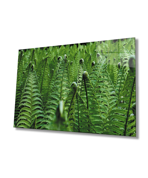 Yeşil Bitkiler Cam Tablo  4mm Dayanıklı Temperli Cam  Green Plants Glass Wall Art