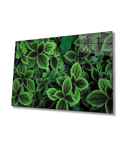 Yeşil Yapraklar  Cam Tablo  4mm Dayanıklı Temperli Cam Green Leaves Glas Wall Art