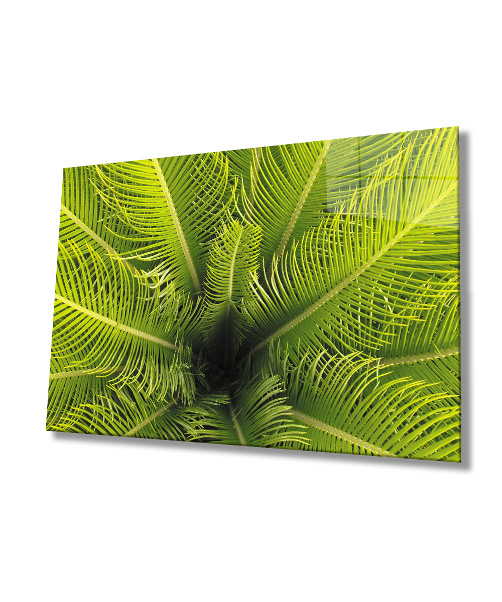 Yeşil Bitkiler  Cam Tablo  4mm Dayanıklı Temperli Cam Yeşil Bitkiler  Glass Wall Art