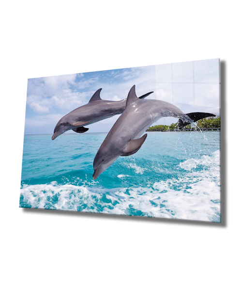 Yunus Balıkları Cam Tablo  4mm Dayanıklı Temperli Cam, Dolphins Glass Wall Art