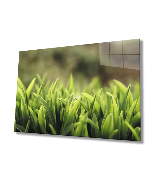 Yeşil Yapraklar Cam Tablo  4mm Dayanıklı Temperli Cam  Green Leaves Glass Wall Art