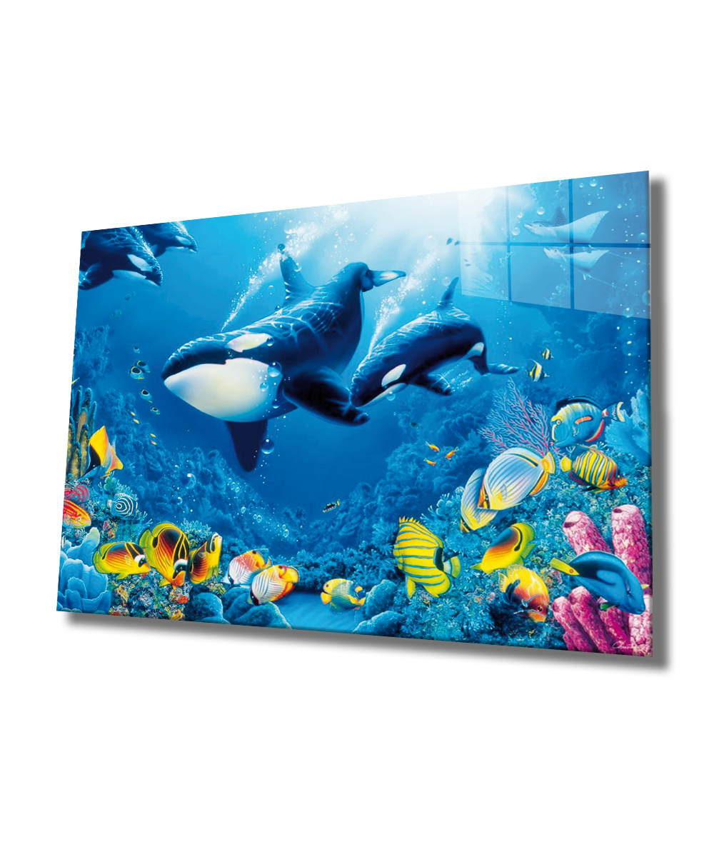 Yunus Balıklar Sualtı Hayatı Cam Tablo  4mm Dayanıklı Temperli Cam, Dolphins Marine Life Glass Wall Art