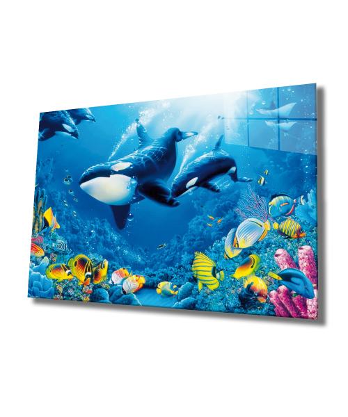 Yunus Balıklar Sualtı Hayatı Cam Tablo  4mm Dayanıklı Temperli Cam, Dolphins Marine Life Glass Wall Art