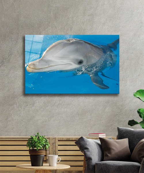 Yunus Balığı Cam Tablo  4mm Dayanıklı Temperli Cam, Dolphin Glass Wall Art