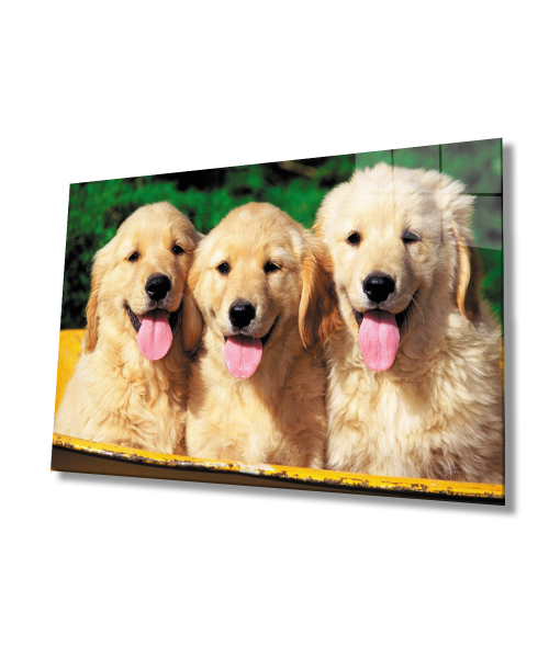 Köpekler Cam Tablo  4mm Dayanıklı Temperli Cam