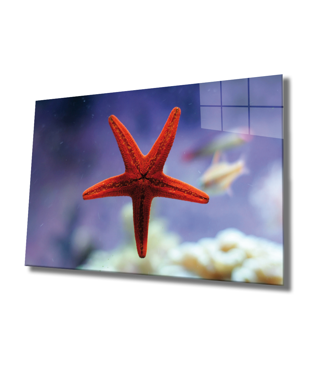 Kırmızı Yıldız Balığı Cam Tablo  4mm Dayanıklı Temperli Cam