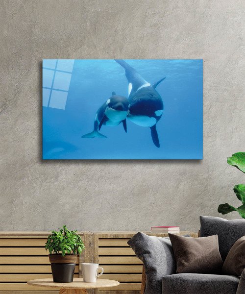 Köpek Balıkları Cam Tablo  4mm Dayanıklı Temperli Cam, Sharks Glass Wall Art