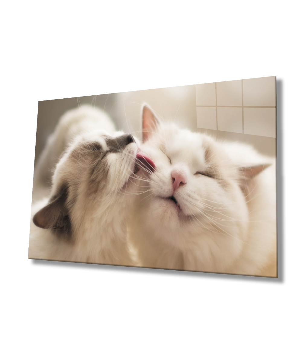 Kedi Cam Tablo  4mm Dayanıklı Temperli Cam