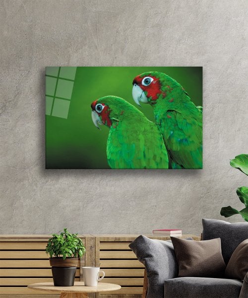Yeşil Papağan Cam Tablo  4mm Dayanıklı Temperli Cam  Green Parrot Glass Wall Art