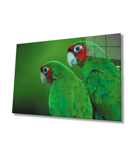 Yeşil Papağan Cam Tablo  4mm Dayanıklı Temperli Cam  Green Parrot Glass Wall Art