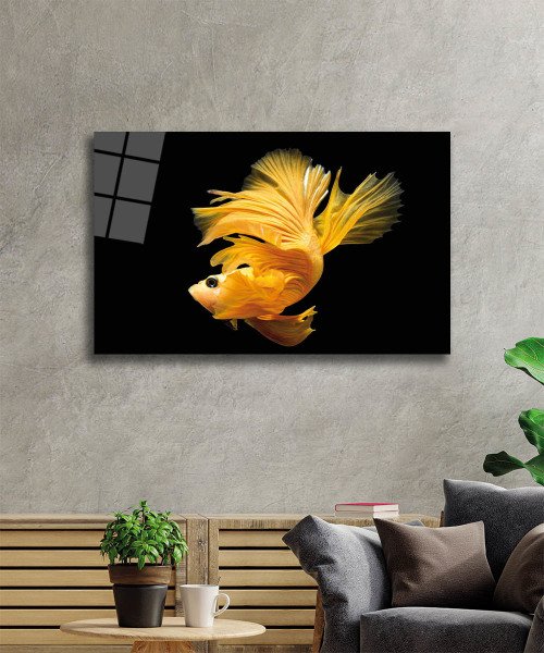 Sarı Balık Cam Tablo  4mm Dayanıklı Temperli Cam, Yellow Fish Glass Wall Art