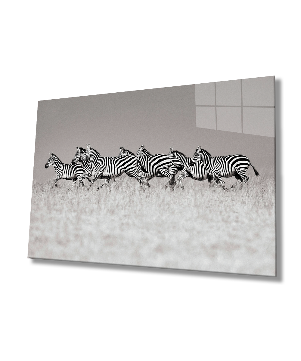 Zebra Cam Tablo  4mm Dayanıklı Temperli Cam