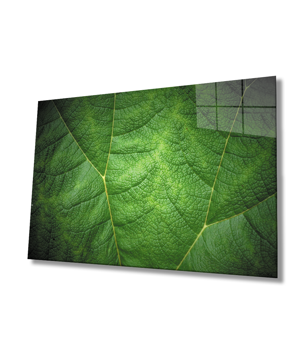 Yeşil Yaprak Cam Tablo  4mm Dayanıklı Temperli Cam  Green Glass Wall Decoreaf