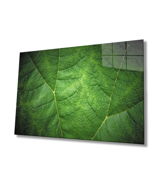 Yeşil Yaprak Cam Tablo  4mm Dayanıklı Temperli Cam  Green Glass Wall Decoreaf