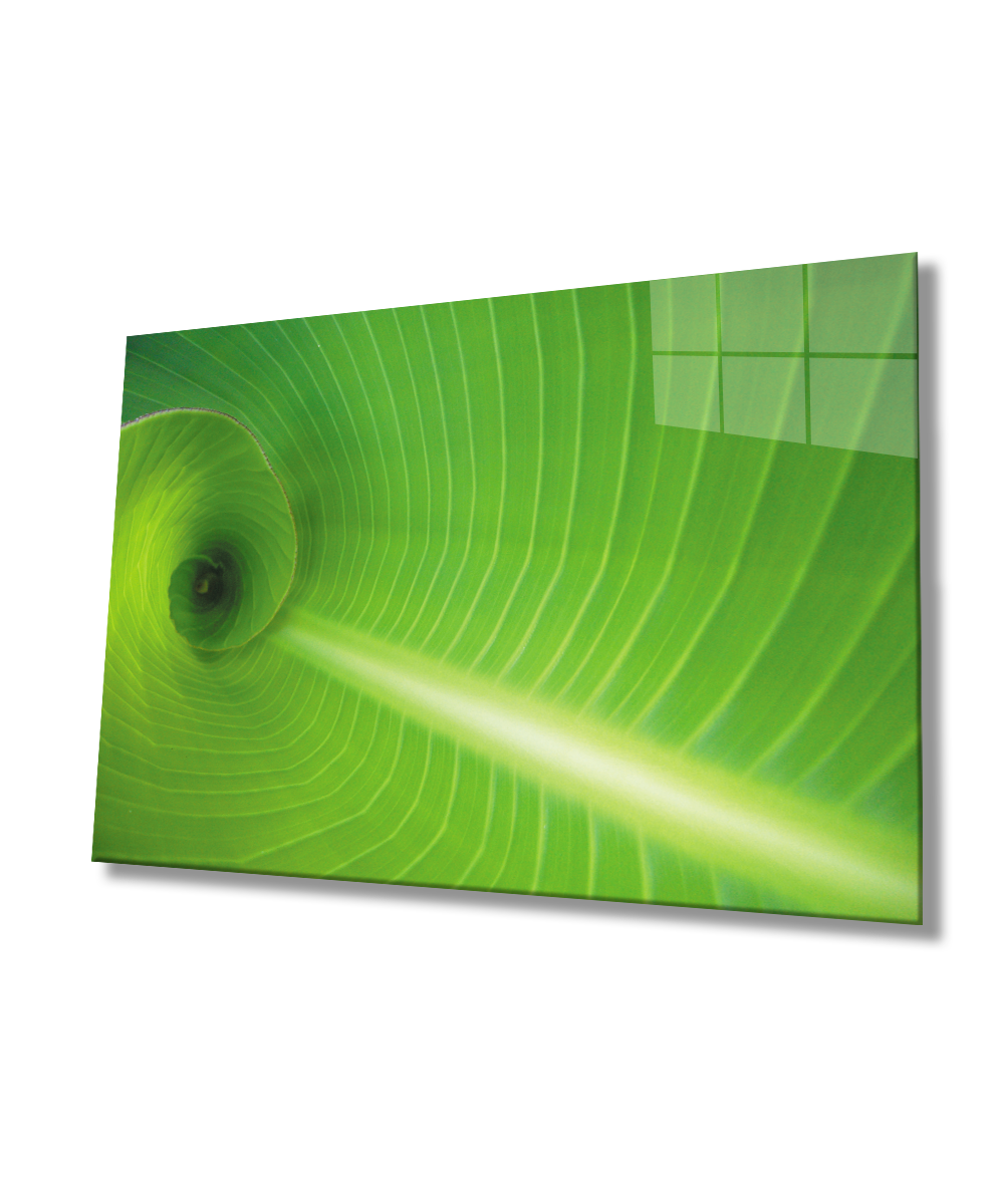 Yeşil Yaprak  Cam Tablo  4mm Dayanıklı Temperli Cam Green Leaf  Glass Wall Art