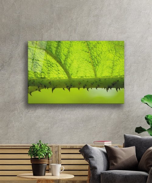 Dikenli Dal Yaprak  Yeşil Cam Tablo  4mm Dayanıklı Temperli Cam Prickly Branch Green Leaf Glass Wall Decor