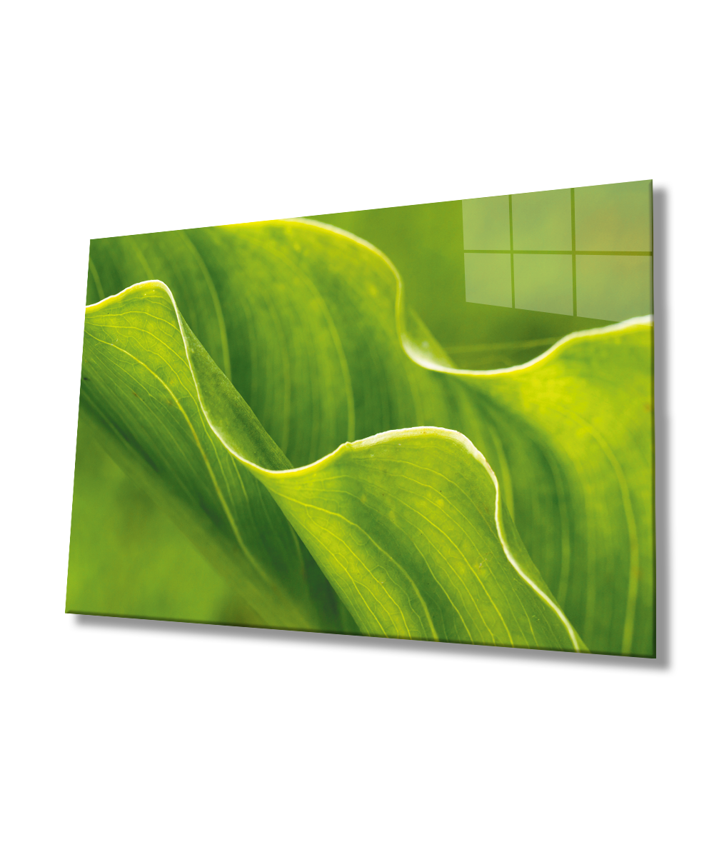 Yeşil Yapraklar Cam Tablo  4mm Dayanıklı Temperli Cam Green Leaves Glass Wall Art