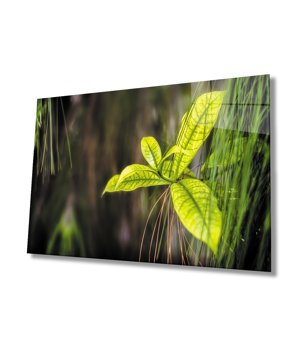 Yeşil Yapraklar Cam Tablo  4mm Dayanıklı Temperli Cam  Green Leaves Glass Wall Decor