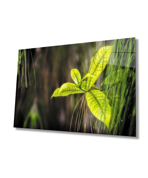 Yeşil Yapraklar Cam Tablo  4mm Dayanıklı Temperli Cam  Green Leaves Glass Wall Decor