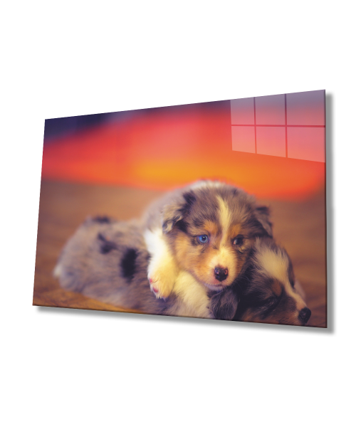 Sarılan  Köpekler Cam Tablo  4mm Dayanıklı Temperli Cam