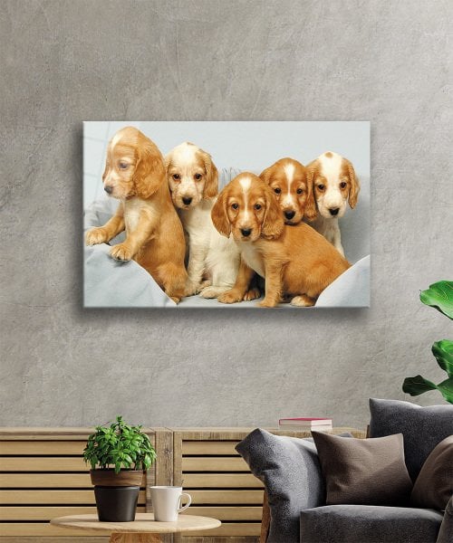 Kahverengi Köpekler  Cam Tablo  4mm Dayanıklı Temperli Cam