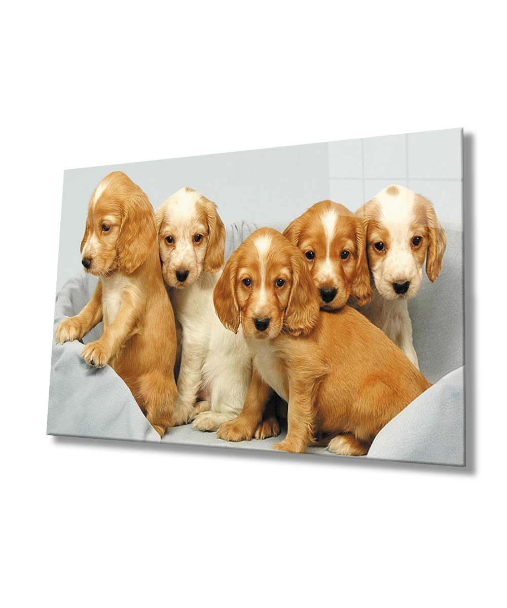 Kahverengi Köpekler  Cam Tablo  4mm Dayanıklı Temperli Cam