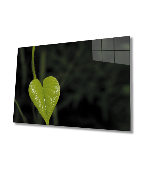 Yeşil Kalp  Yaprak  Cam Tablo  4mm Dayanıklı Temperli Cam Green Heart Leaf Glass Wall Art