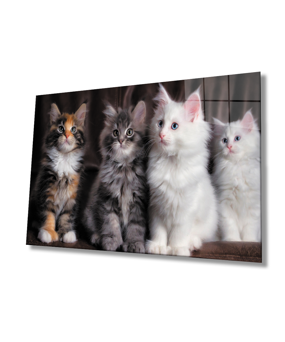 Kediler Cam Tablo  4mm Dayanıklı Temperli Cam