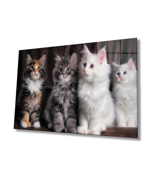 Kediler Cam Tablo  4mm Dayanıklı Temperli Cam