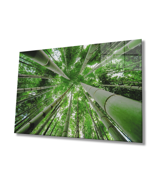 Aşağıdan Yukarı Orman Yeşil Cam Tablo  4mm Dayanıklı Temperli Cam Bottom Up Forest Green Glass Wall Art