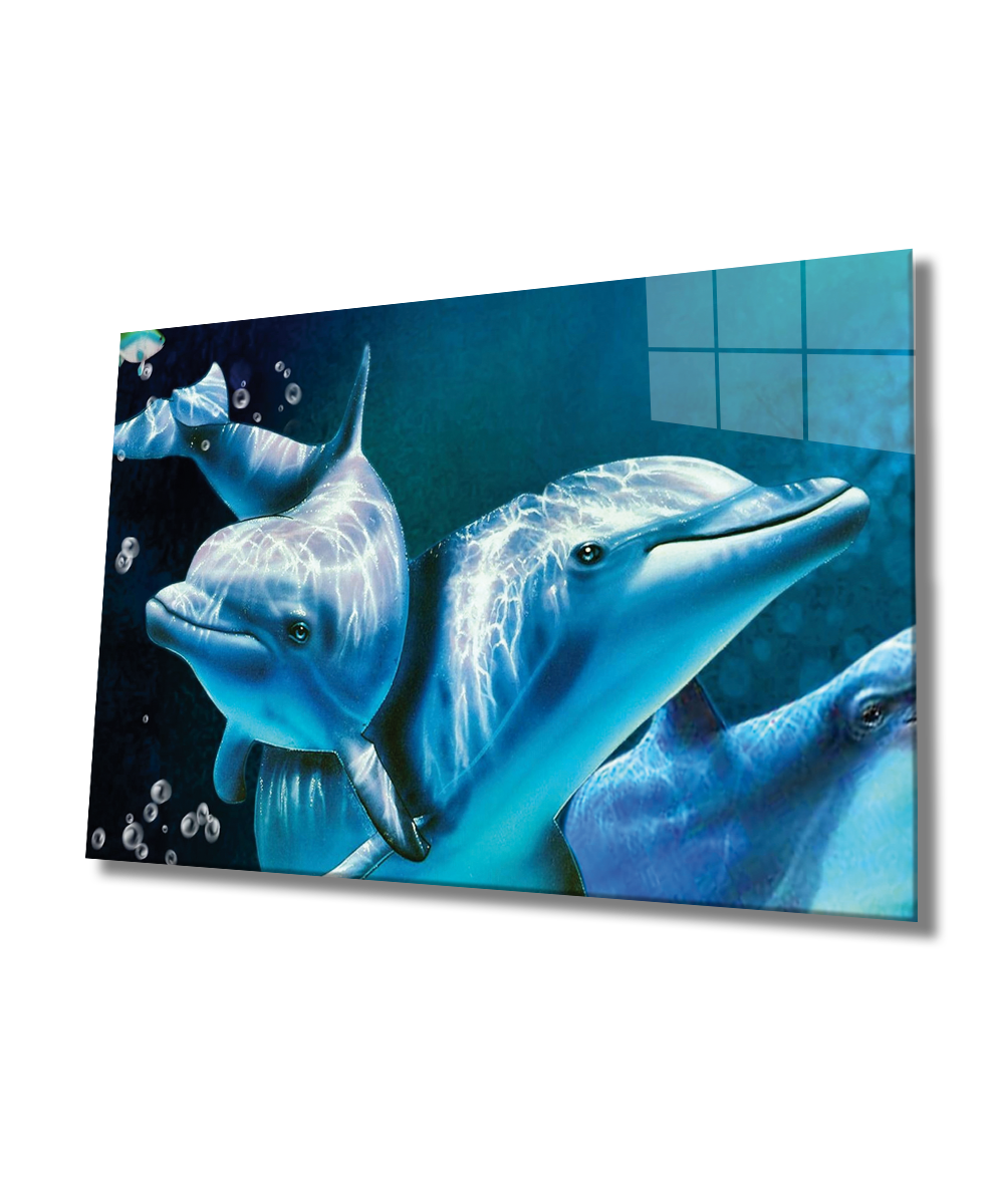 Yunus Balıkları Cam Tablo  4mm Dayanıklı Temperli Cam, Dolphins Glass Wall Art