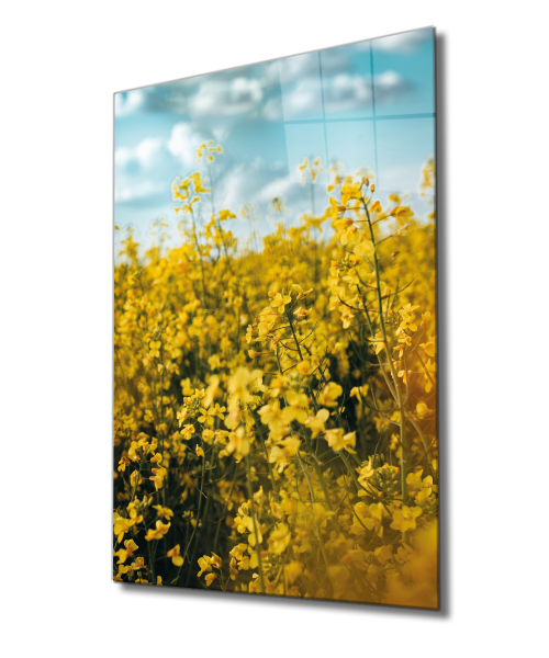 Sarı Manzara Cam Tablo  4mm Dayanıklı Temperli Cam, Yellow Landscape Glass Wall Decor