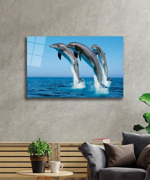 Yunus Balıkları Cam Tablo  4mm Dayanıklı Temperli Cam, Dolphins Glass Wall Art