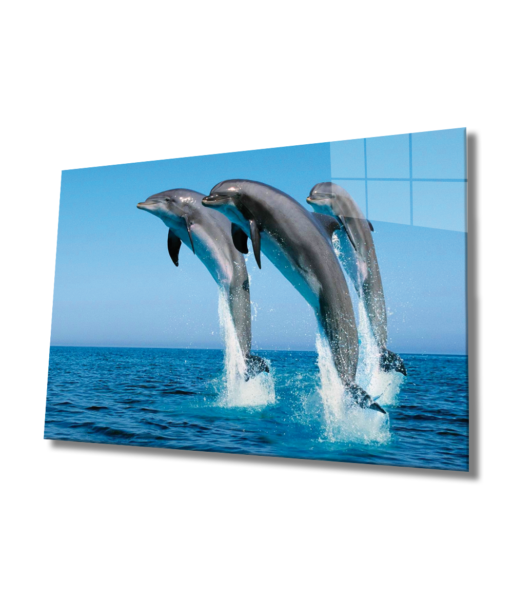 Yunus Balıkları Cam Tablo  4mm Dayanıklı Temperli Cam, Dolphins Glass Wall Art