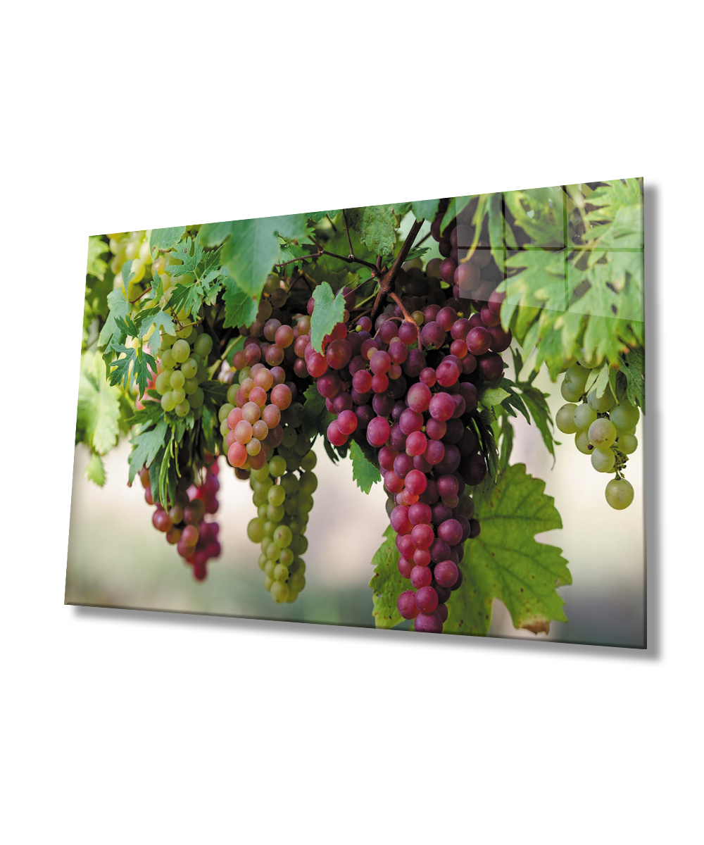 Üzüm Cam Tablo  4mm Dayanıklı Temperli Cam Grape Glass Wall Art