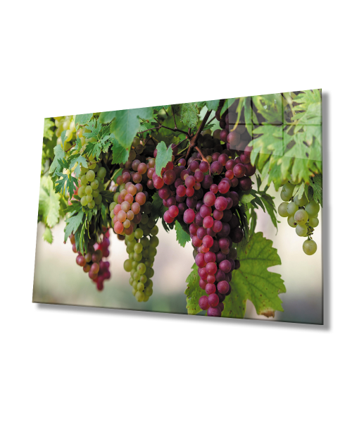 Üzüm Cam Tablo  4mm Dayanıklı Temperli Cam Grape Glass Wall Art