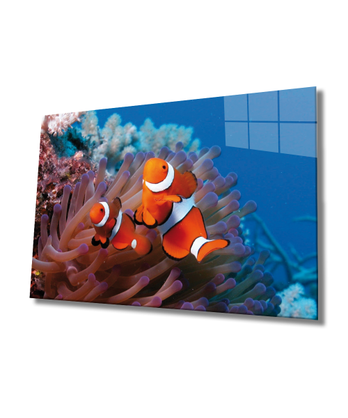 Balıklar Cam Tablo  4mm Dayanıklı Temperli Cam, Fishes Glass Wall Art