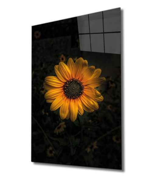 Sarı Ayçiçek Cam Tablo  4mm Dayanıklı Temperli Cam, Yellow Sunflower Glass Wall Art