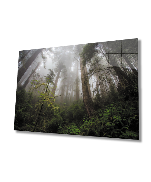Orman Yeşil Manzara Ağaç  Cam Tablo  4mm Dayanıklı Temperli Cam Forest Green Landscape Tree Glass Wall Art