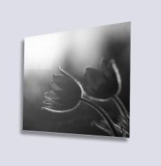 Gün Doğumunda Çiçekler Uv Baskılı Cam Tablo 4mm Dayanıklı Temperli Cam 50x50 Cm