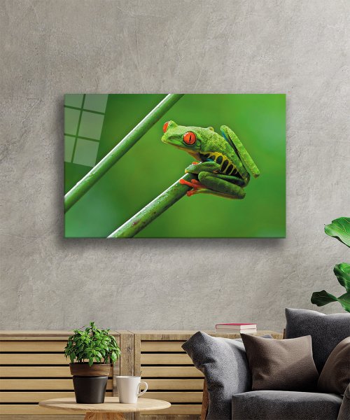 Yeşil Kurbağa Hayvan Cam Tablo  4mm Dayanıklı Temperli Cam Green Frog Animal Glass Wall Art