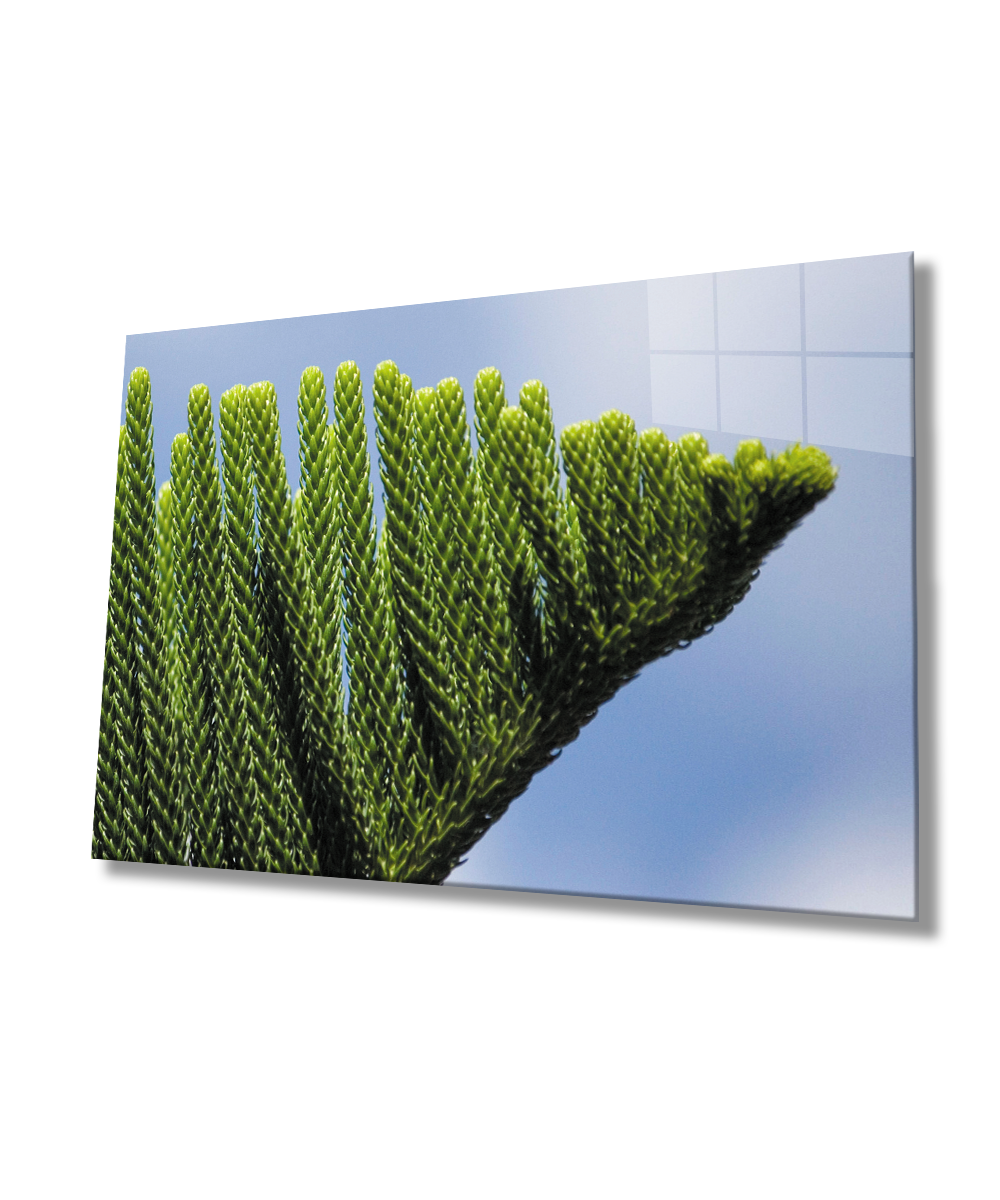 Yeşil Bitki Cam Tablo  4mm Dayanıklı Temperli Cam Green Plant Glass Wall Art