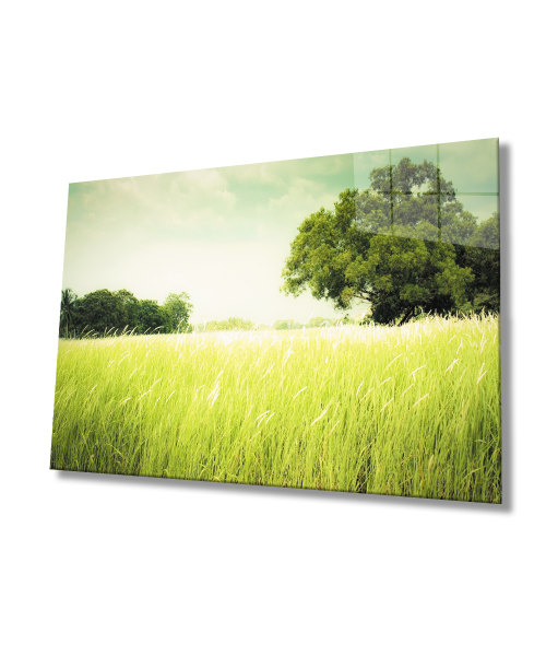 Manzara  Ağaç Yeşil Cam Tablo  4mm Dayanıklı Temperli Cam Landscape Tree Green Glass Wall Art