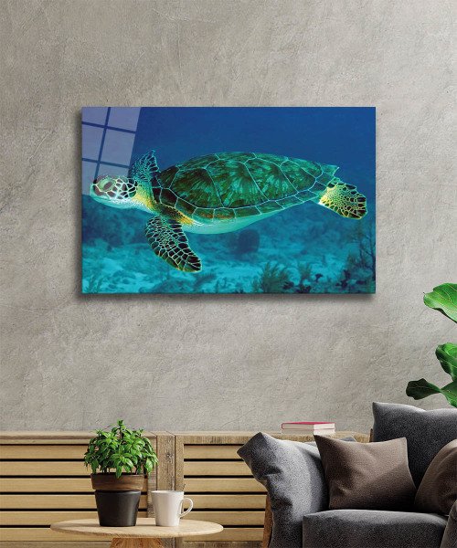 Deniz Kaplumbağası Cam Tablo  4mm Dayanıklı Temperli Cam, Sea Turtle Glass Wall Art